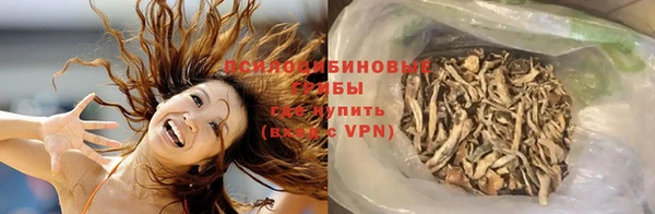 экстази Дмитров