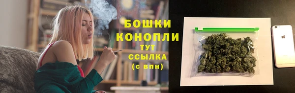 стафф Дмитриев