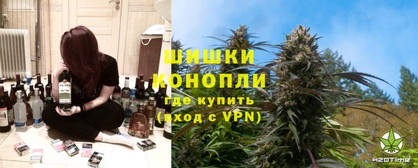 стафф Дмитриев