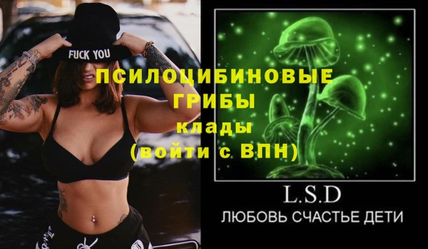 стафф Дмитриев